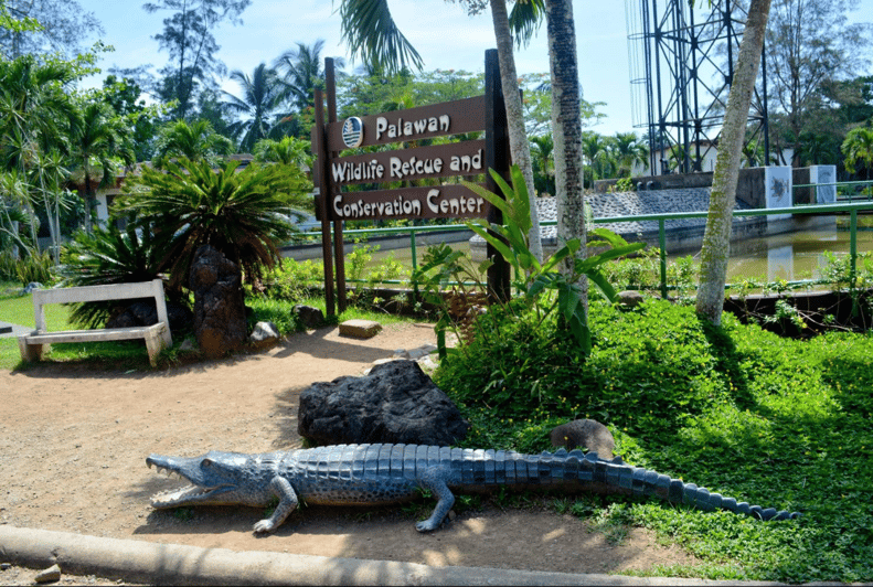 PALAWAN: Underground River Tour and City Tour - Key Points