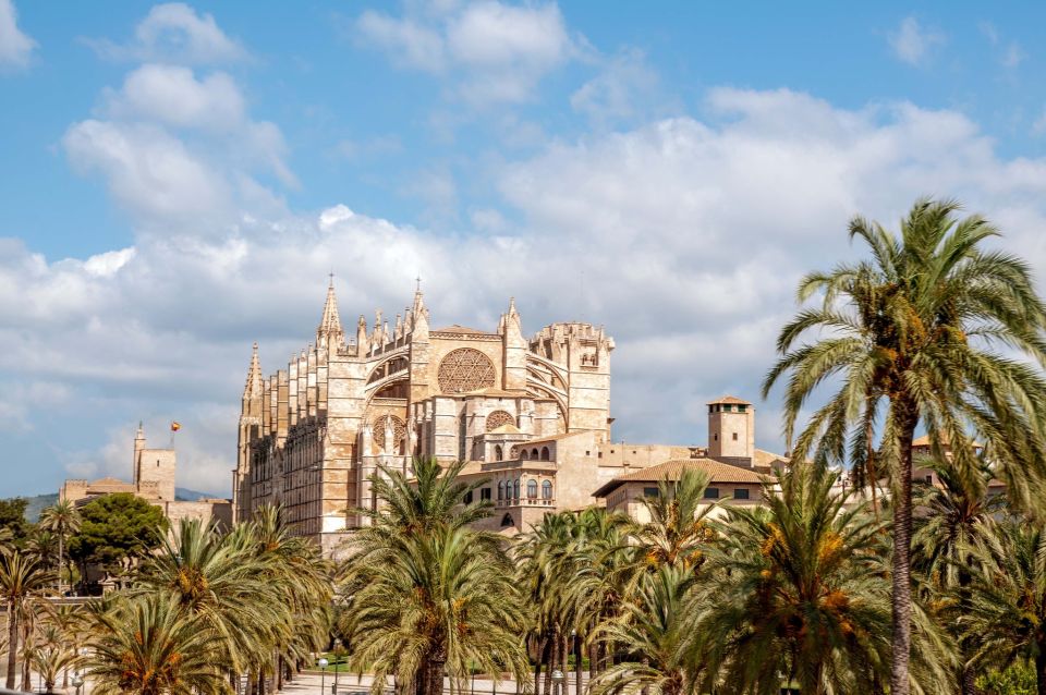 Palma De Mallorca: City Sightseeing Hop-On Hop-Off Bus Tour - Good To Know