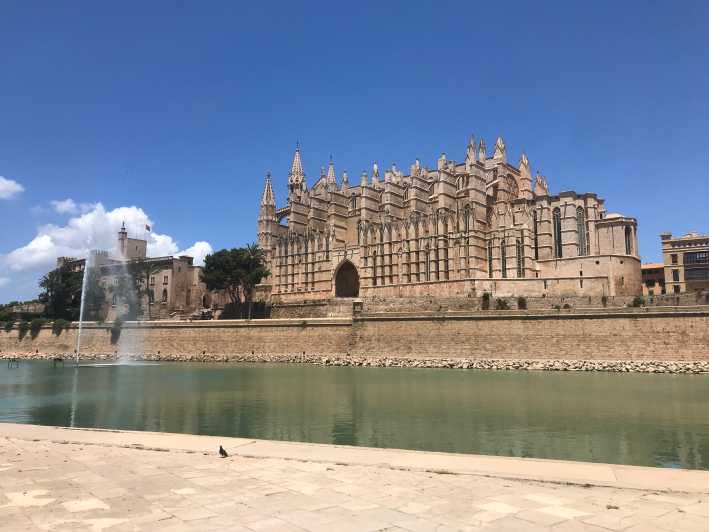 Palma De Mallorca: Lifestyle & Local Food Tasting - Key Points