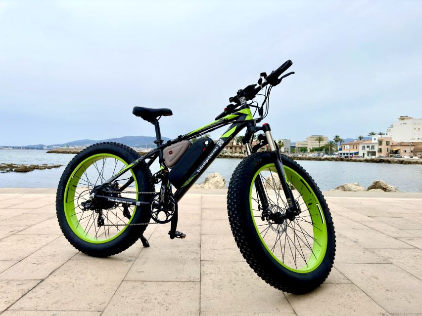 Palma: Guided City Tour With a Fat Tire E-Bike - Key Points