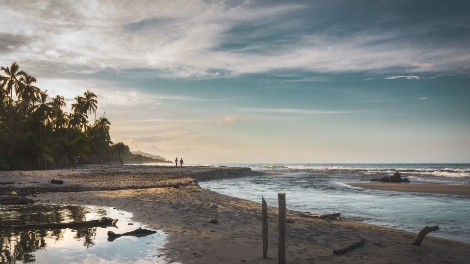 Palomino: Horseback Riding Tour on Palomino Beach - Key Points