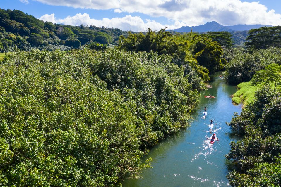 Palomino: Palomino River Paddle Board Adventure - Key Points