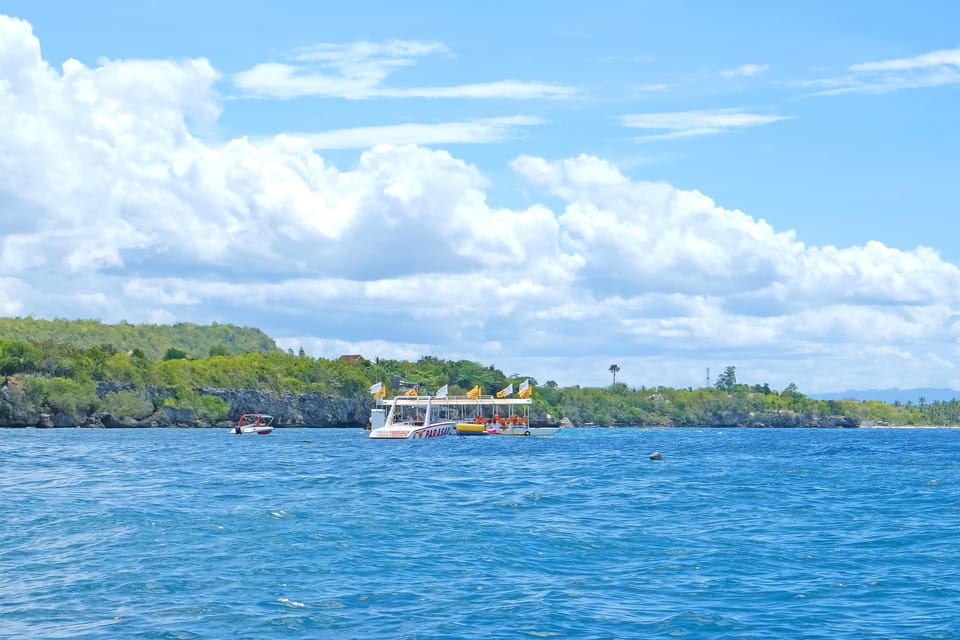 Panglao: Solo or Tandem Parasailing Experience Near Alona - Key Points