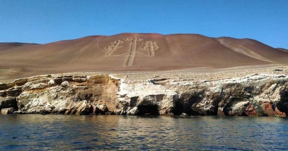 Paracas: Observation of Marine Fauna in Ballestas Islands - Key Points