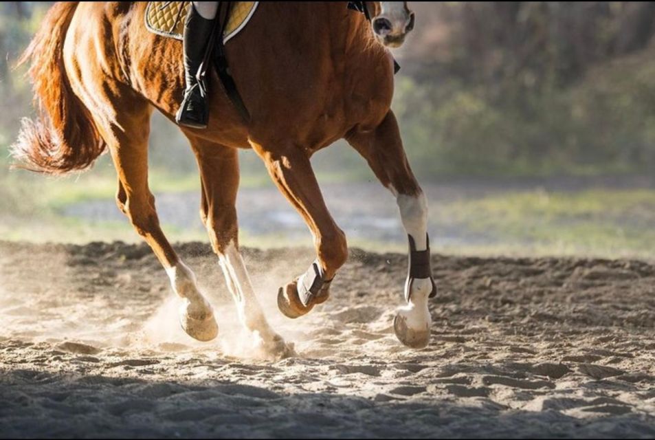 Paros: Island Horseback Riding Adventure - Key Points