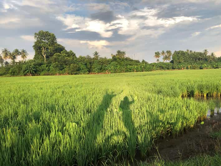 Penang: Balik Pulau Countryside Morning Cycling Tour - Key Points