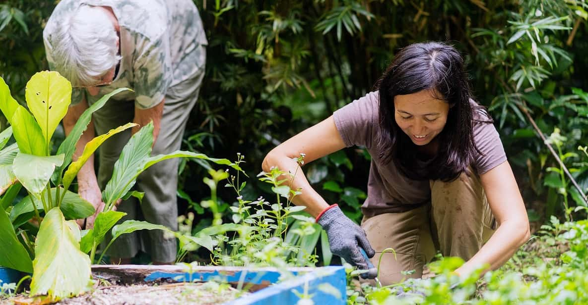 Penang: Tropical Spice Garden E-Ticket - Unique Experience Highlights