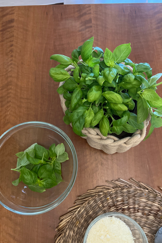 Pesto: Learn, Cuisine, Eats - Key Points