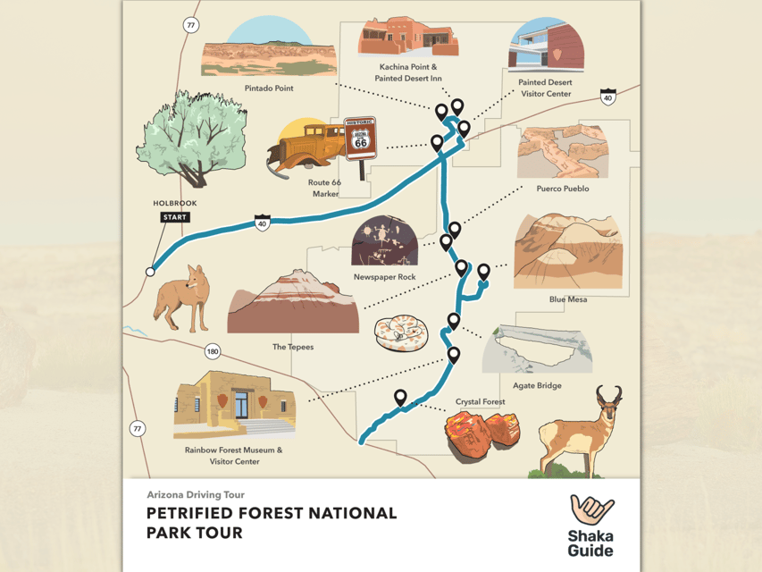 Petrified Forest National Park: Self-Guided GPS Audio Tour - Key Points