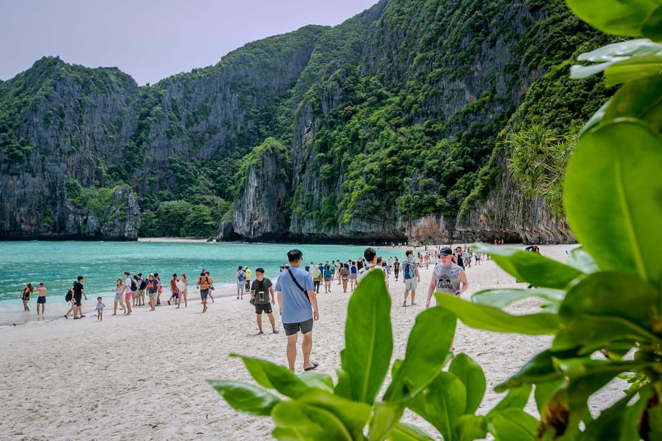 Phi Phi: Half Day Speed Boat to Maya Bay With Snorkeling - Key Points