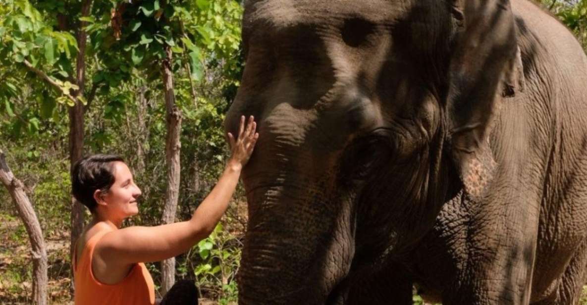 Phnom Tamao Wildlife Center & Buddha Kiri Cambodia Day Tour - Good To Know