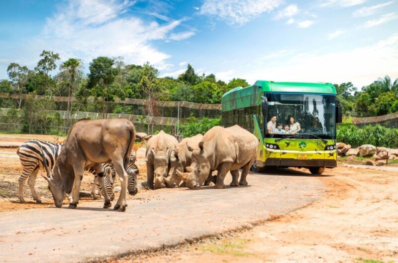 Phu Quoc: Vinpearl Safari Park Entry Ticket - Ticket Pricing Details