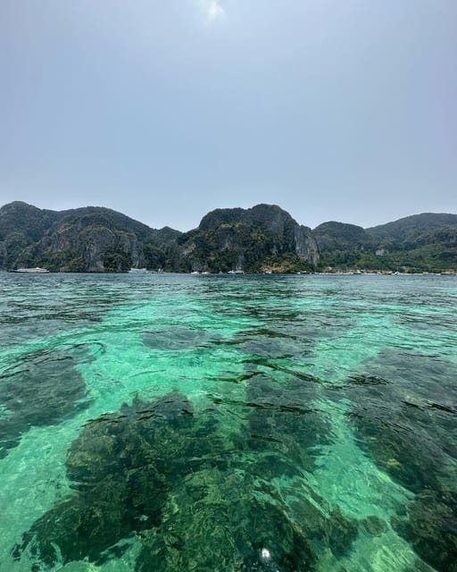 Phuket: Premium Day Trip to Phi Phi-Maya-Bamboo Island - Key Points