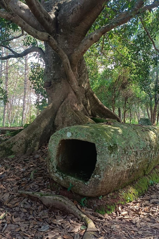 Plain of Jars Private Tour - Key Points