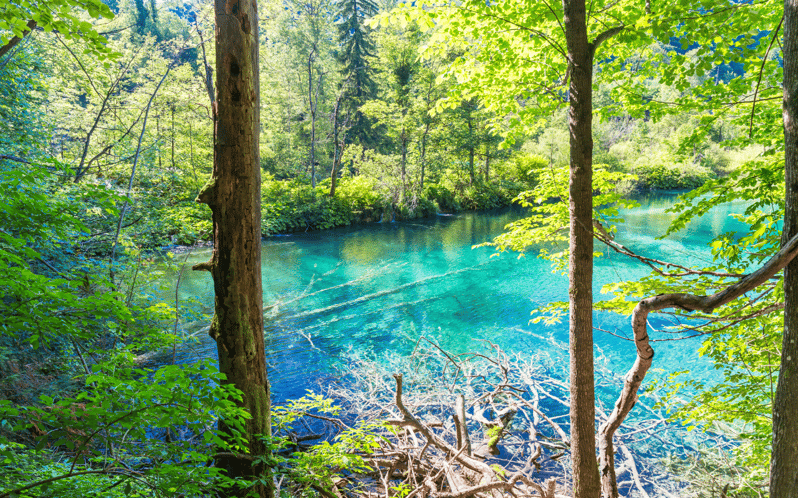 Plitvice Lakes Private Full Day Tour From Dubrovnik - Overview and Pricing