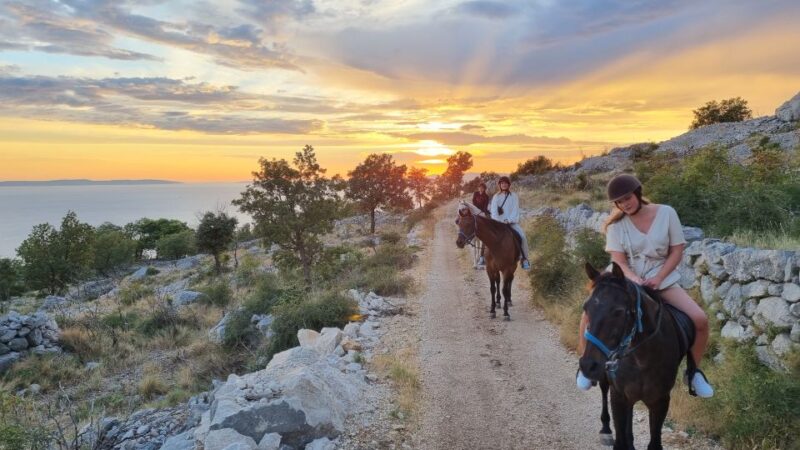 Podstrana: Guided Horseback Riding Experience - Good To Know
