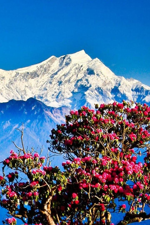 Pokhara: 2-Day Poon Hill Trek With Sunrise Views - Key Points