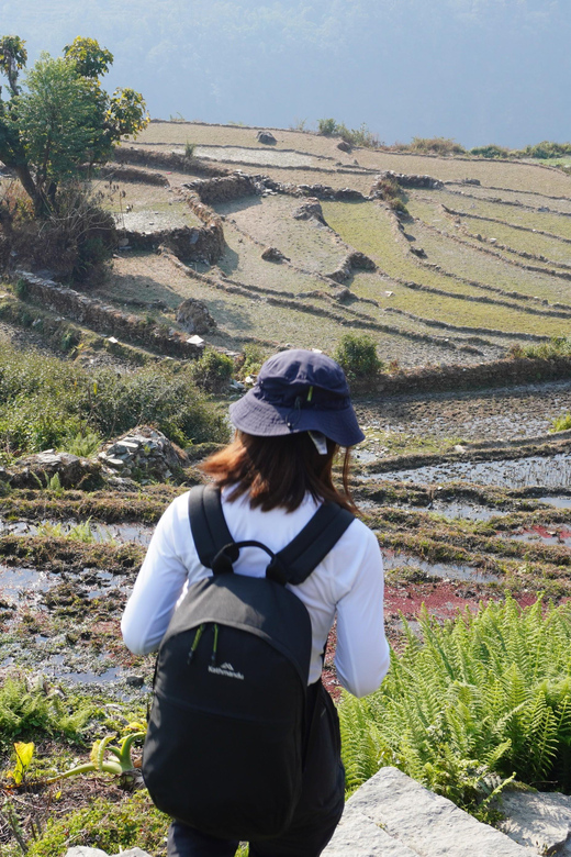 Pokhara: All Women Ghorepani Poon Hill Trek - Key Points