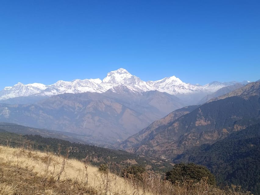 Poon Hill Trekking 3 Days From Pokhara - Key Points