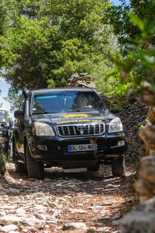 Porto Vecchio: Cuscionu Plateau & Alta Rocca 4x4 Tour - Key Points