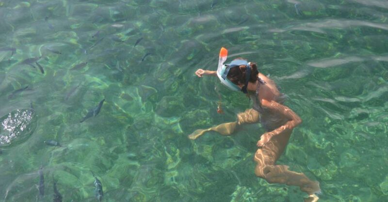 Porto-Vecchio: South Corsica Cruise and Snorkeling Day Trip - Key Points