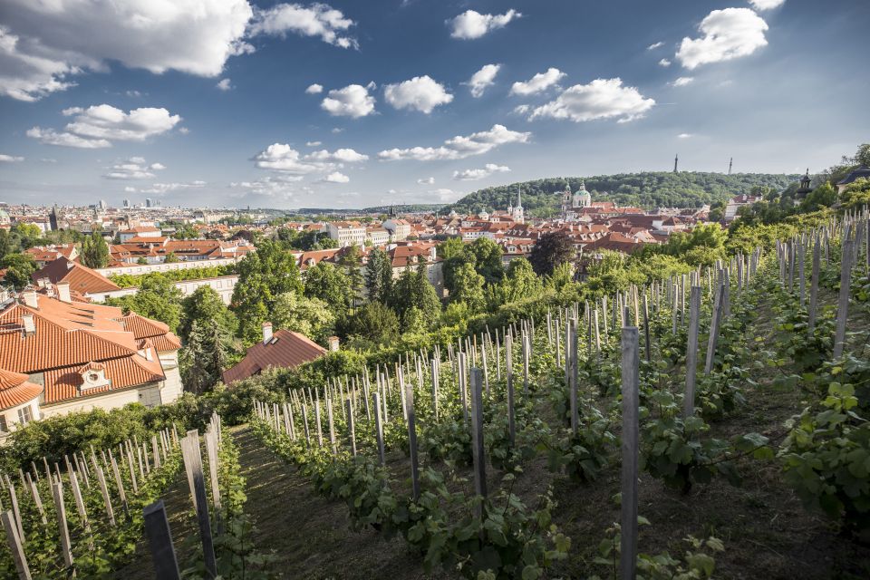 Prague: 3–Hour Castle Grounds Walking Tour and River Cruise - Good To Know