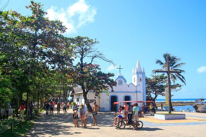 Praia Do Forte Full Day Tour, Salvador, Bahia, Brazil - Tour Overview