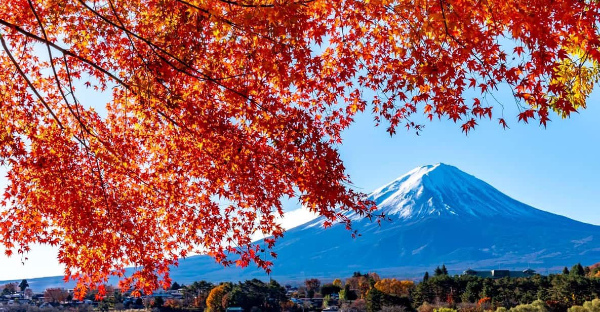 Private Day Tour to Mount Fuji Hakone With English Driver - Key Points