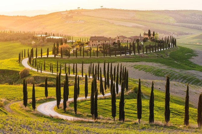 Private Day Trip Tuscany Landscape and Wine Tasting From Florence - Good To Know