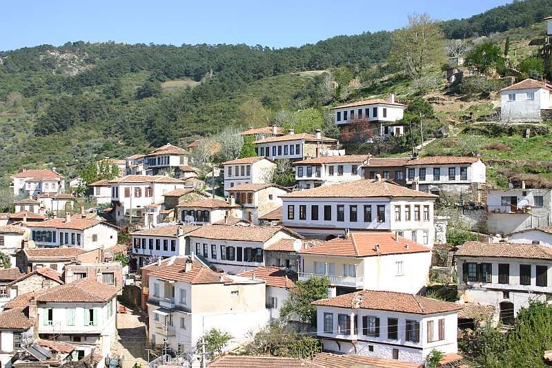 Private Ephesus, Terrace Houses & Sirince Village Tour - Tour Overview