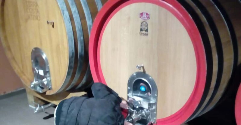 Private Etna Wine Tour - Key Points