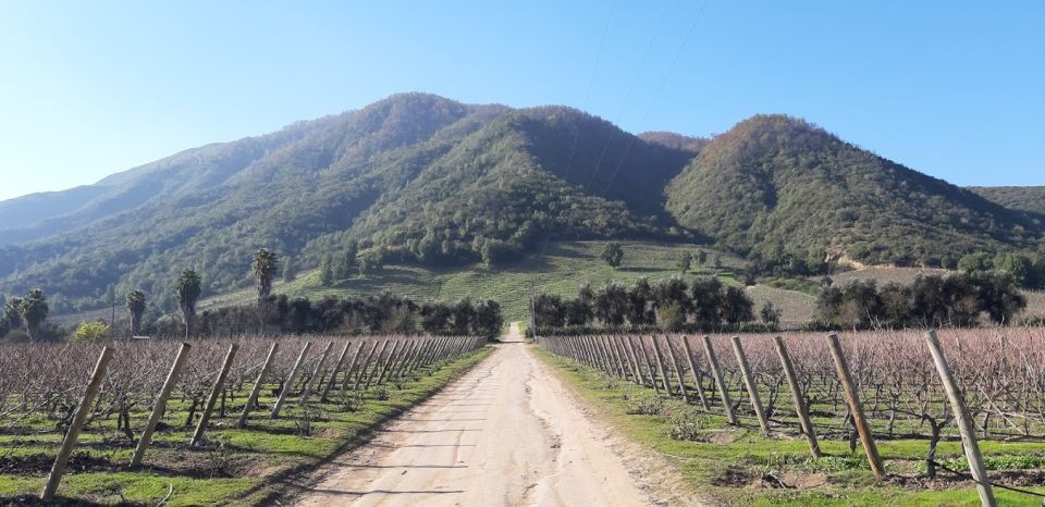 Private Full-Day Wine Tasting Tour in Colchagua Valley - Key Points