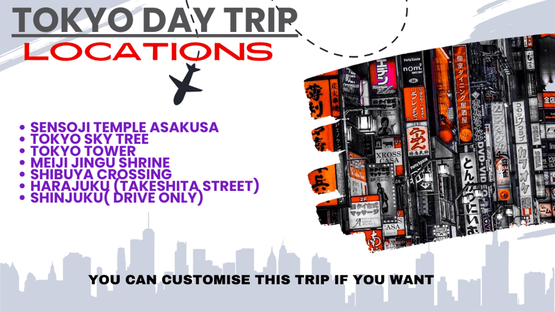 Private Group Tokyo Day Tour in a Car or Van - Accessibility Options