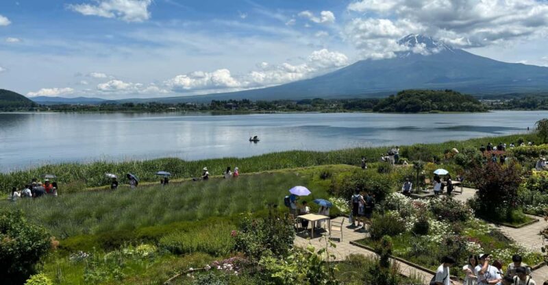 Private: Hakone and Kawaguchi in One Day. - Tour Overview
