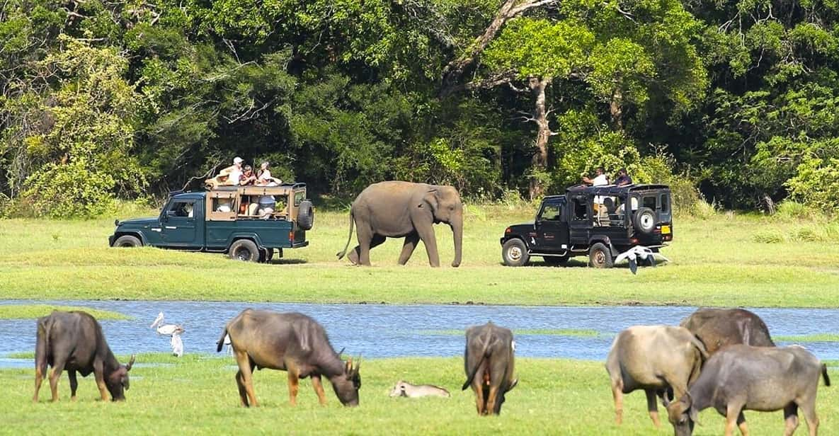 Private Jeep Safari to One of the Best National Parks - Pickup and Drop-off Locations