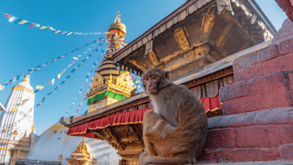 Private Kathmandu Sightseeing Tour- UNESCO Heritage Sites - Key Points