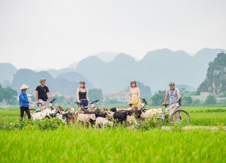 Private Luxury 1 Day Trip: Hoa Lu, Tam Coc, Mua Cave, Biking - Key Points