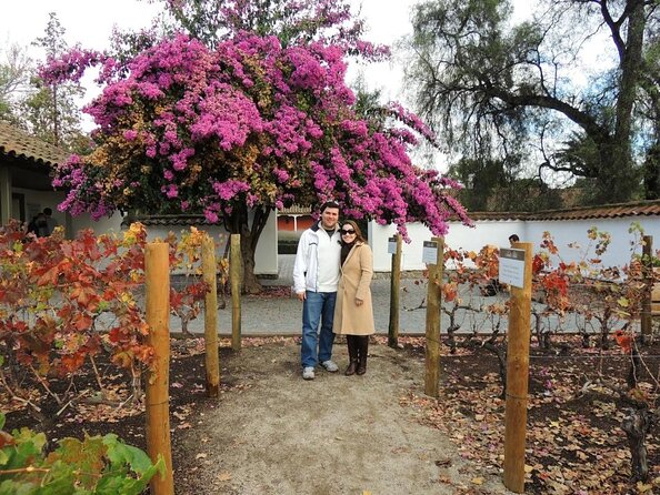 Private Maipo Valley Historic Wine Tour: Santa Rita and Concha Y Toro Vineyards - Good To Know