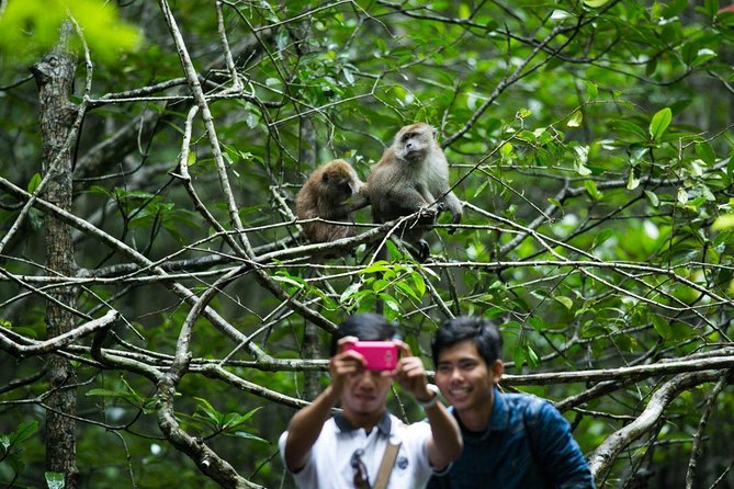 Private Mangrove Tour 3 Hour (max 8 People) - Good To Know