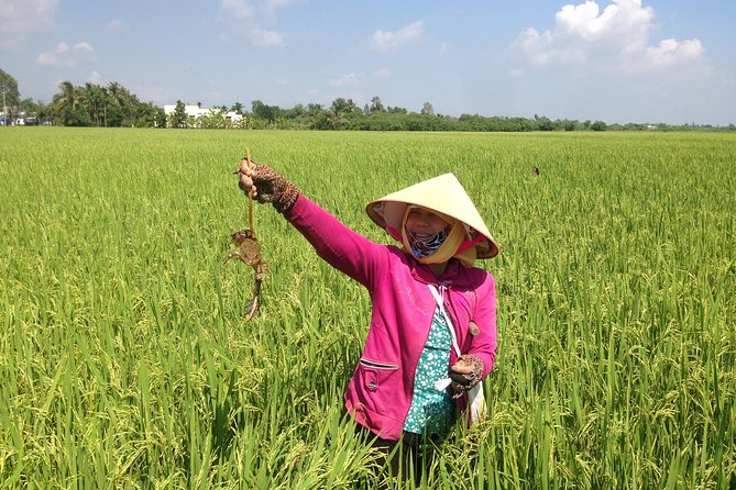 Private Mekong Delta - Non Touristic Area 02D - 01N - Floating Market - Itinerary Breakdown