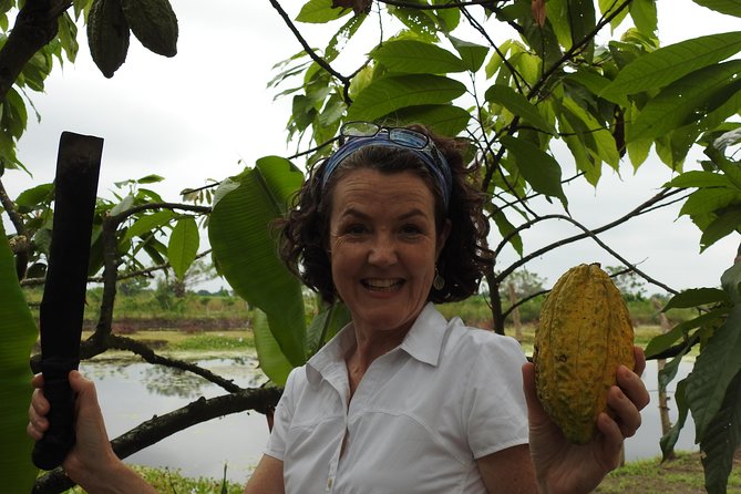 Private Navigation Through Mangroves Forest/ Beach Time/ Chocolate Experience - Good To Know