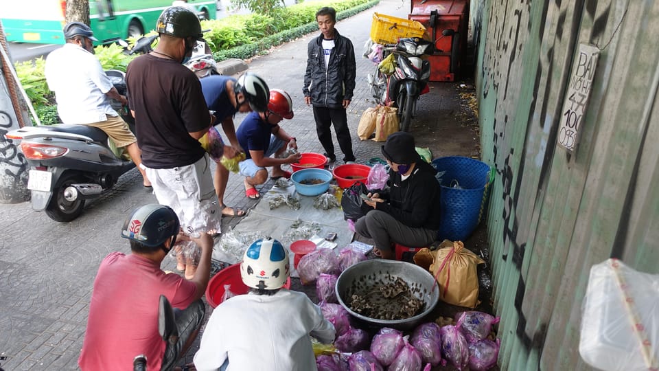 Private Saigon Morning Exercise-Drink Bird Coffee-City Tour - Key Points