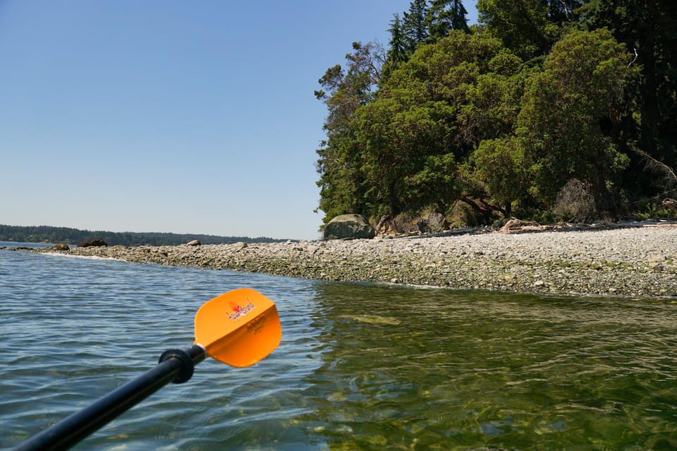 Private Sea Kayak Tour to Blake Island State Park - Key Points