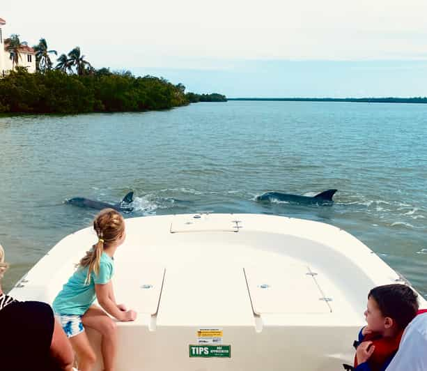 Private Shelling and Dolphin Excursion - Key Points