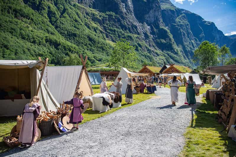 Private Tour-Nærøyfjord Cruise Viking Village & Flåm Railway - Overview of the Tour