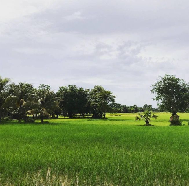 Private Tour to Sambor Prei Kuk 1500YL Temple From Siem Reap - Good To Know