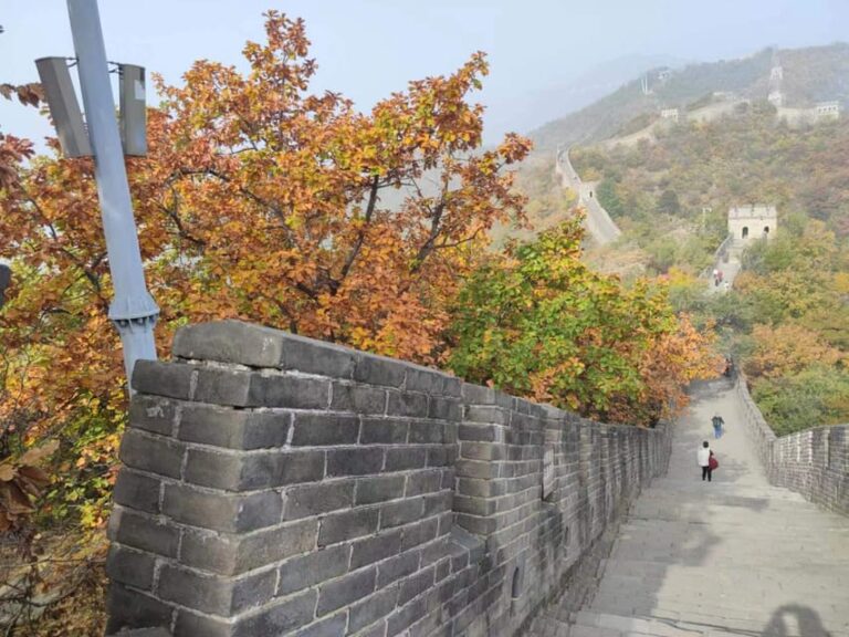 Private Trip to Great Wall+Summer Palace With English Driver