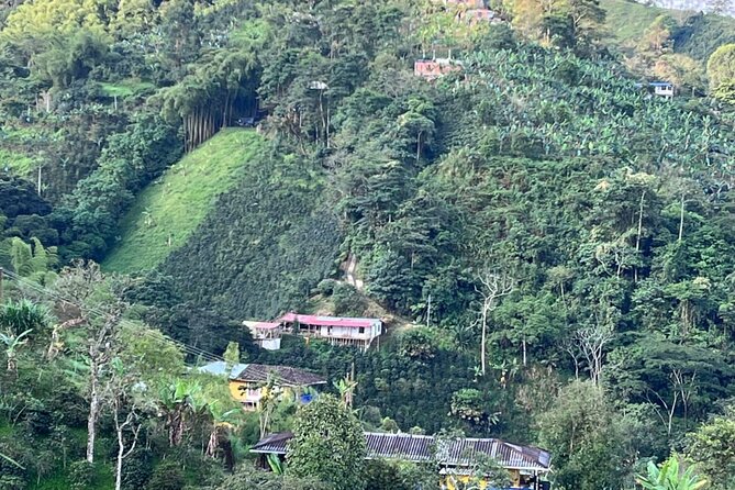 Private Visit to Organic and Craft Coffee Farm in Risaralda - Good To Know