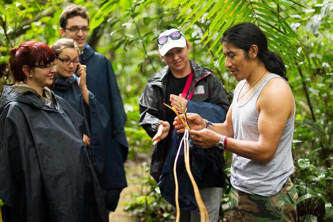 Private Waterfall, Rainforest, Chocolate Tour, A Historical Site - Tour Overview