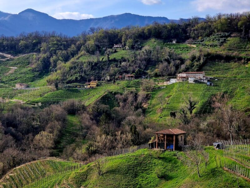 Prosecco Hills Bike Tour From Venice - Key Points